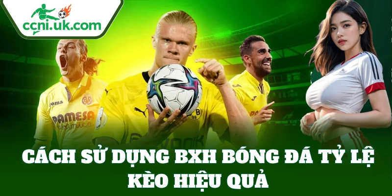 BXH Bóng Đá 6 Thao tác sử dụng BXH Bóng Đá để đặt cược hiệu quả hơn