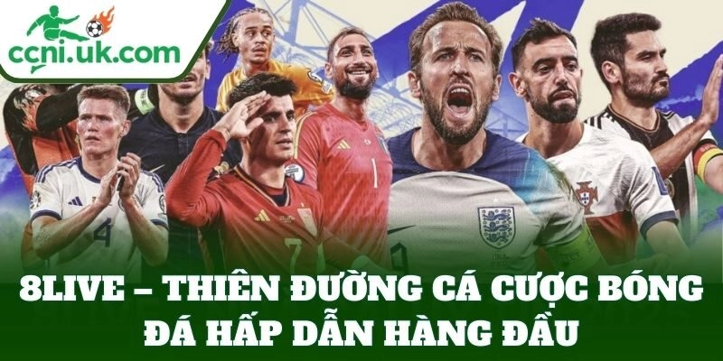 8LIVE – Thiên Đường Cá Cược Bóng Đá Hấp Dẫn Hàng Đầu 9 8LIVE – Thiên Đường Cá Cược Bóng Đá Hấp Dẫn Hàng Đầu