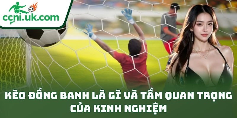 Kinh Nghiệm Chơi Kèo Đồng Banh Online Giúp Thắng Đỉnh Cao 1 Kèo đồng banh là gì và tầm quan trọng của kinh nghiệm