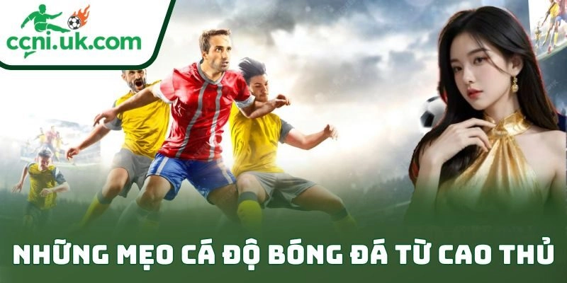 Mẹo Cá Độ Bóng Đá Từ Cao Thủ Giúp Anh Em Nghiền Kèo 2 Những mẹo cá độ bóng đá từ cao thủ