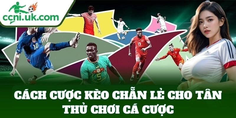 Cách Cược Kèo Chẵn Lẻ Chuẩn - Bí Kíp Dễ Chơi Dễ Thắng 2 Cách Cược Kèo Chẵn Lẻ cho tân thủ chơi cá cược