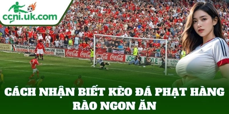 Kèo Đá Phạt Hàng Rào Tại Tỷ Lệ Kèo – Kèo Dễ Thắng Mỗi Ngày 2 Cách nhận biết Kèo Đá Phạt Hàng Rào ngon ăn