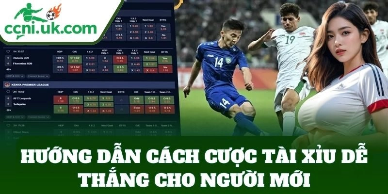 Cách Cược Tài Xỉu Dễ Thắng – Bí Kíp Từ Cao Thủ Tỷ Lệ Kèo 2 Hướng dẫn Cách Cược Tài Xỉu Dễ Thắng cho người mới