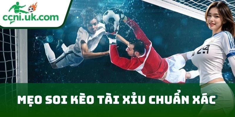 Top 7 Mẹo Soi Kèo Tài Xỉu Chuẩn Xác Tăng Tỷ Lệ Thắng 2 Mẹo Soi Kèo Tài Xỉu Chuẩn Xác từ các cao thủ lâu năm