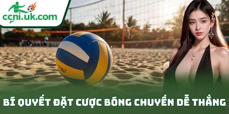 Bí Quyết Đặt Cược Bóng Chuyền Dễ Thắng Kịch Trần 8 Bí Quyết Đặt Cược Bóng Chuyền Dễ Thắng Kịch Trần