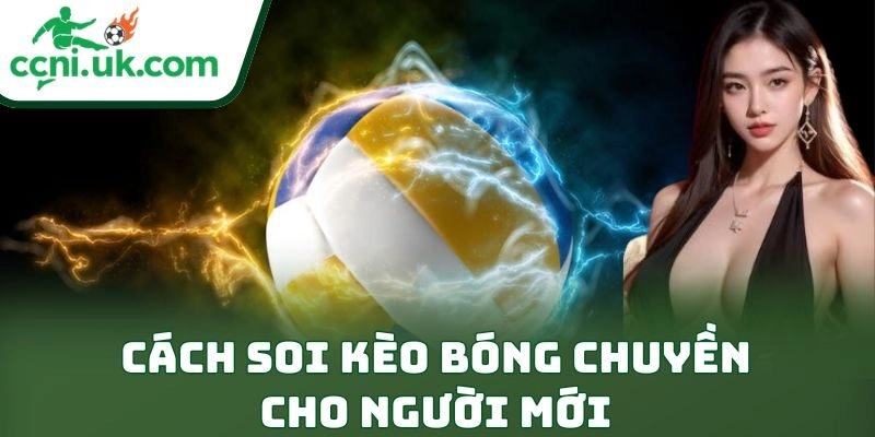 Học Cách Soi Kèo Bóng Chuyền Cho Người Mới Cực Đỉnh 9 Học Cách Soi Kèo Bóng Chuyền Cho Người Mới Cực Đỉnh