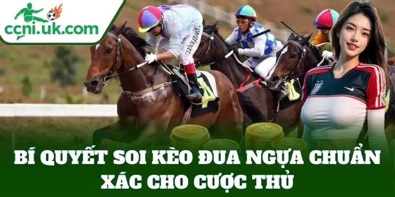 Bí Quyết Soi Kèo Đua Ngựa Chuẩn Xác – Chọn Kèo Dễ Ăn 5 Bí Quyết Soi Kèo Đua Ngựa Chuẩn Xác – Chọn Kèo Dễ Ăn