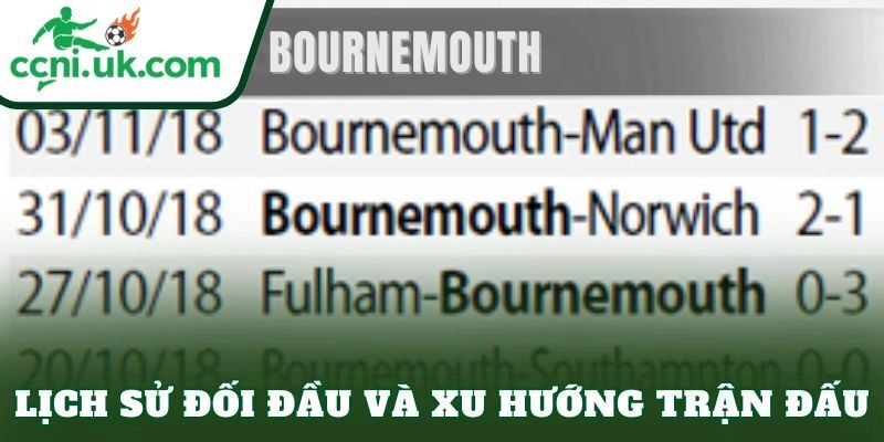 Soi Kèo Newcastle vs Bournemouth (22h00 Ngày 10/1) - Chích chòe thổi lửa sân nhà 2 Lịch sử đối đầu và xu hướng trận đấu