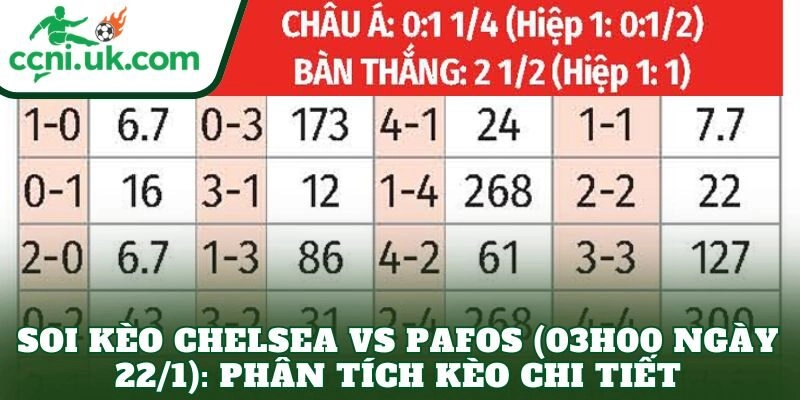 Soi Kèo Chelsea vs Pafos (03h00 Ngày 22/1) – Phân Tích Tỷ Lệ 3 Soi kèo Chelsea vs Pafos (03h00 ngày 22/1): Phân tích kèo chi tiết