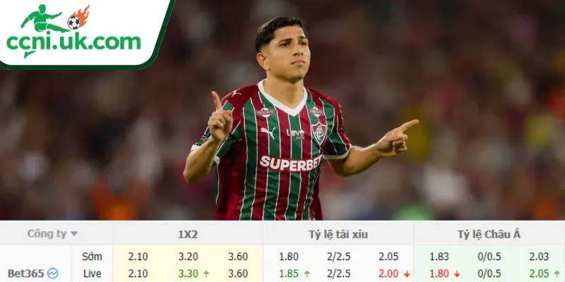 Soi Kèo Cruzeiro vs Fluminense (06h30 Ngày 01/06) Serie A Brazil 3 Chi tiết kèo Cruzeiro vs Fluminense (06h30 ngày 01/06)