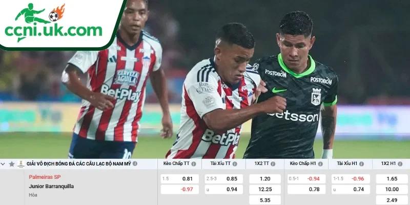 Soi Kèo Palmeiras vs Atletico Junior (07h30 Ngày 29/05) Copa Libertadores 3 Chi tiết kèo Palmeiras vs Atletico Junior (07h30 ngày 29/05)