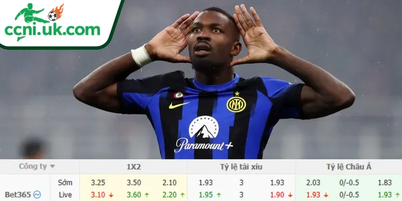 Soi Kèo Bologna vs Inter (23h00 ngày 23/05) Serie A 3 Chi tiết kèo Bologna vs Inter (23h00 ngày 23/05)