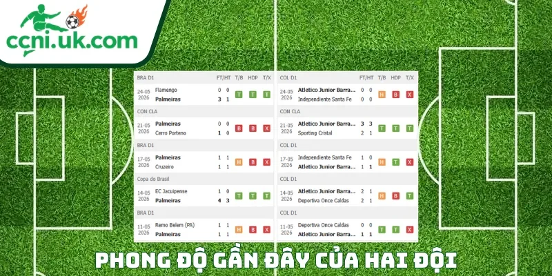 Soi Kèo Palmeiras vs Atletico Junior (07h30 Ngày 29/05) Copa Libertadores 1 Phong độ của mỗi CLB trước trận đấu Palmeiras vs Atletico Junior
