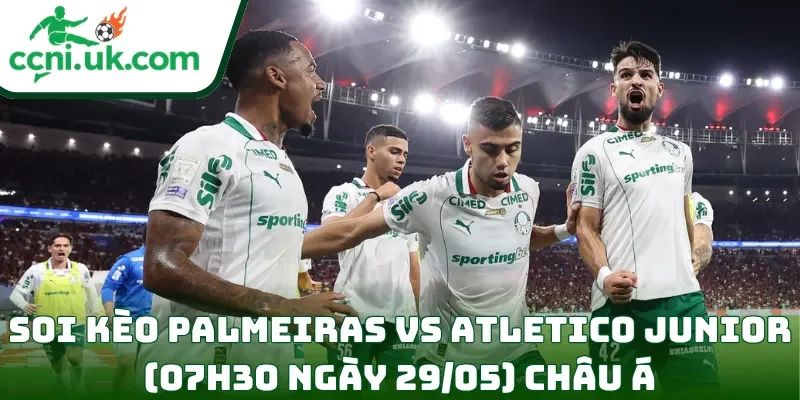 Soi Kèo Palmeiras vs Atletico Junior (07h30 Ngày 29/05) Copa Libertadores 2 Soi kèo Palmeiras vs Atletico Junior (07h30 ngày 29/05) châu Á